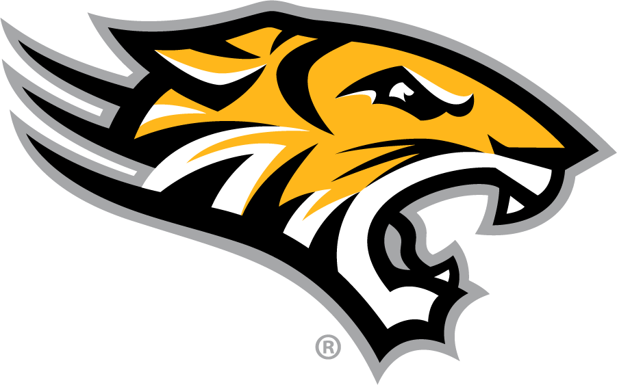 Towson Tigers 2011-Pres Secondary Logo iron on transfers for clothing